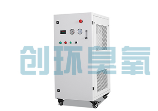 红桥石斑鱼养殖水质调控完整指南：臭氧发生器配置与操作步骤